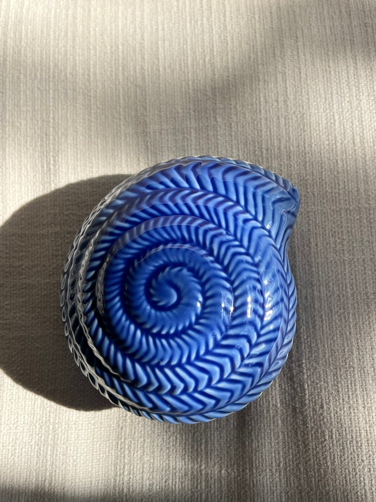 Blue Shell Box