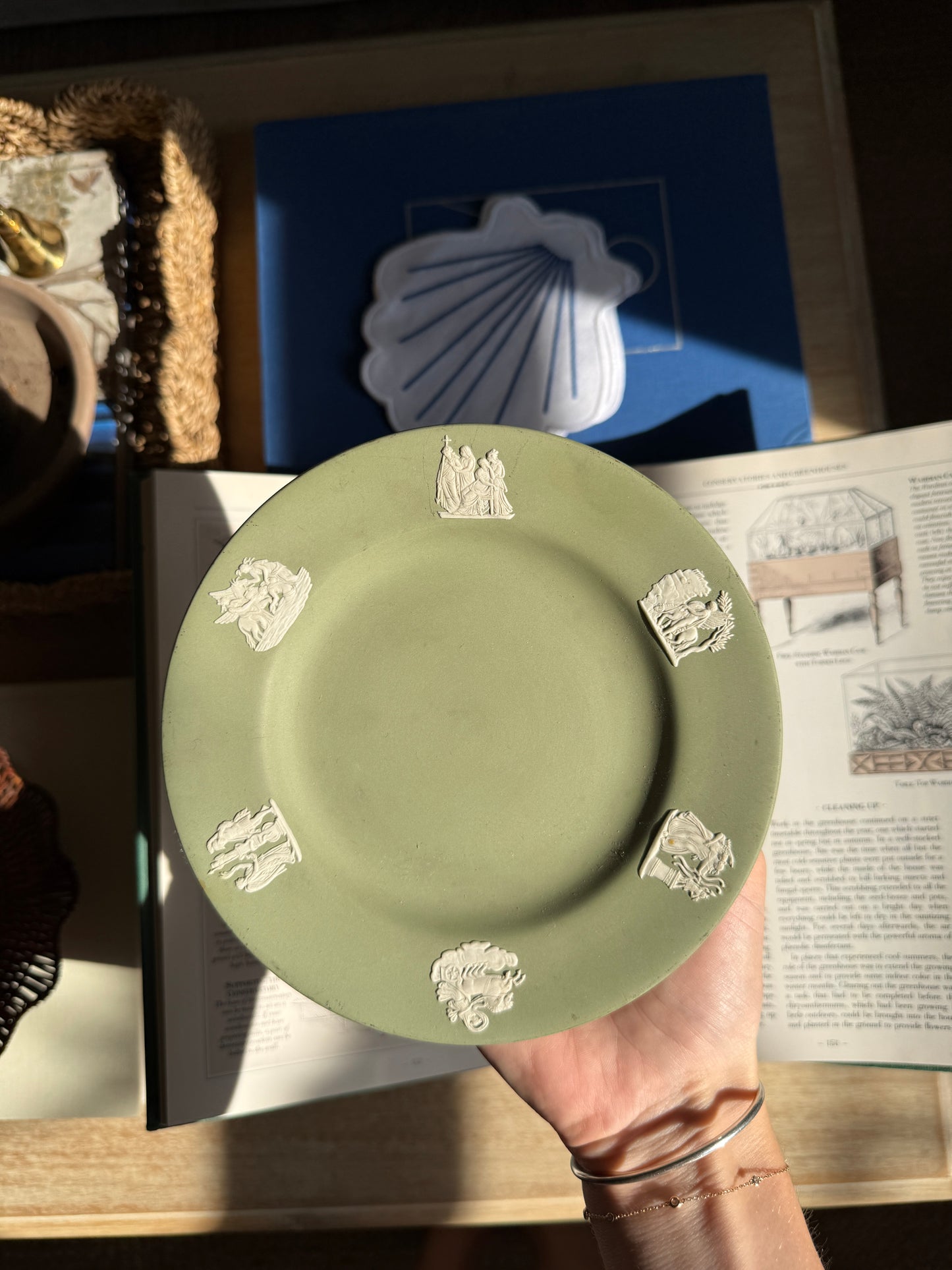 Fairford Wedgwood Sage Jasperware Plate