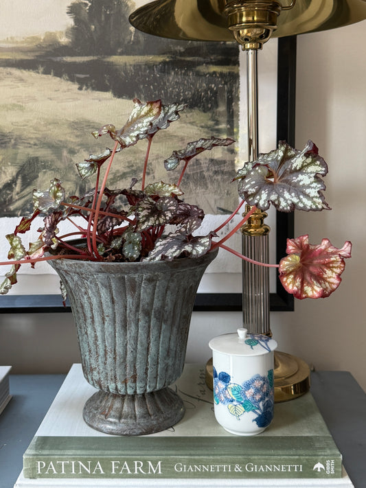 Castle Combe Mini Hydrangea Jar